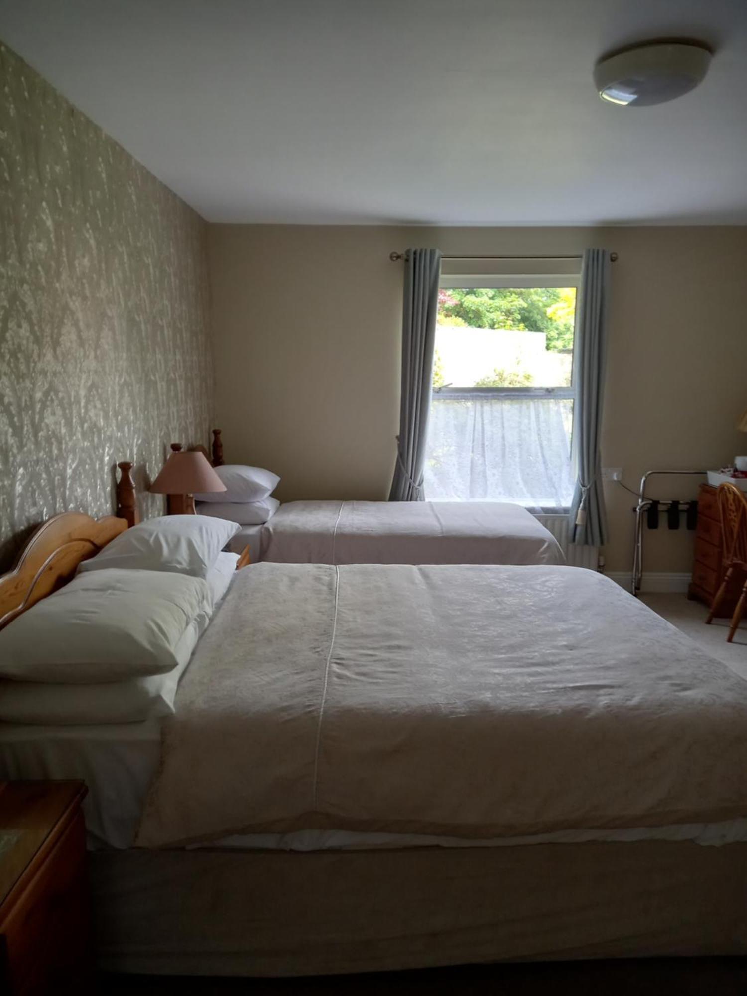 Carraig Rua Bed & Breakfast Kilkenny Eksteriør bilde